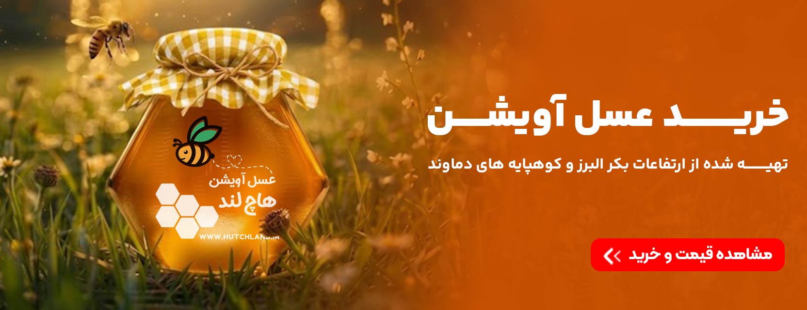 خرید عسل آویشن 