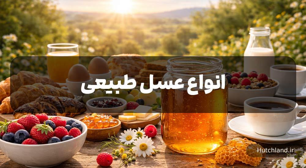 معرفی انواع عسل