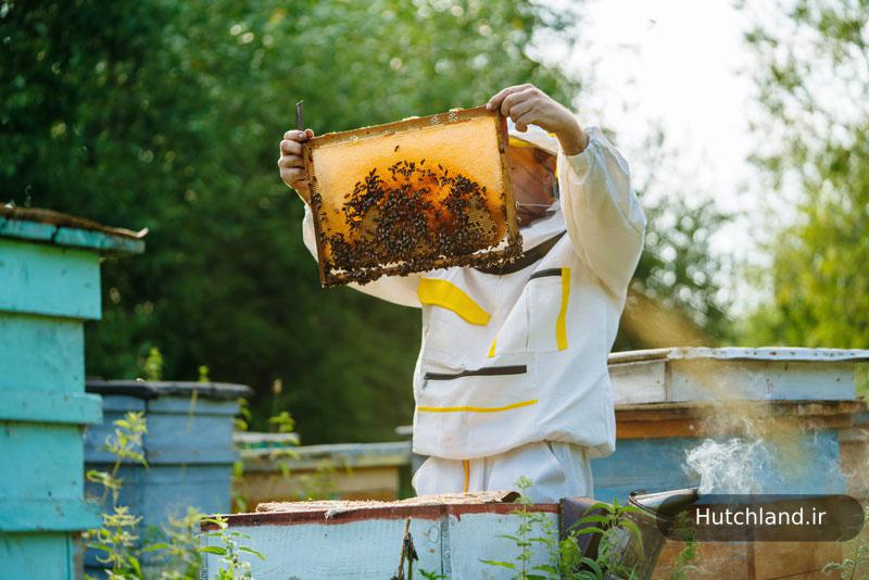بهترین طریقه مصرف عسل گون