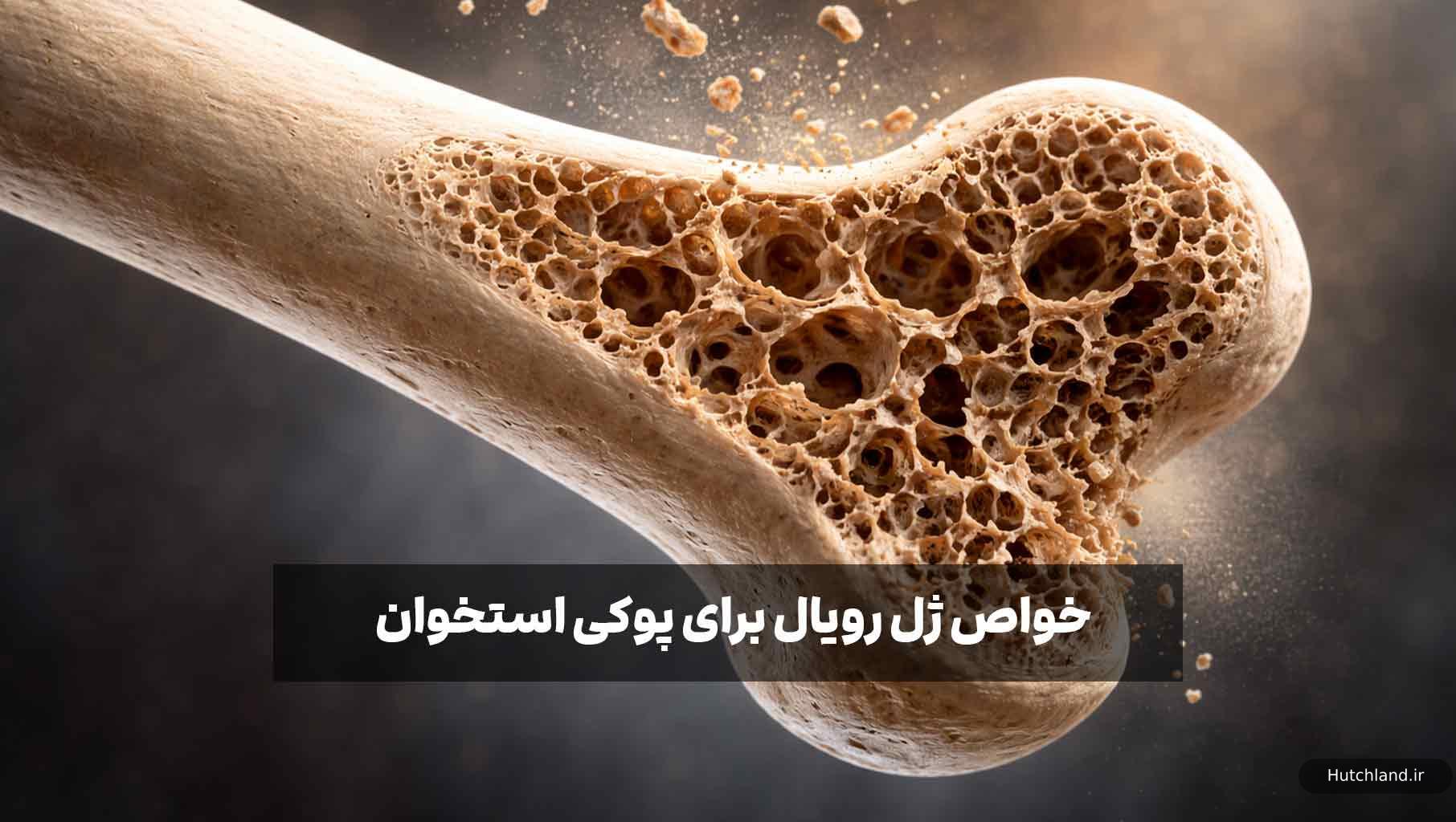 چرا ژل رویال به درمان پوکی استخوان کمک میکند