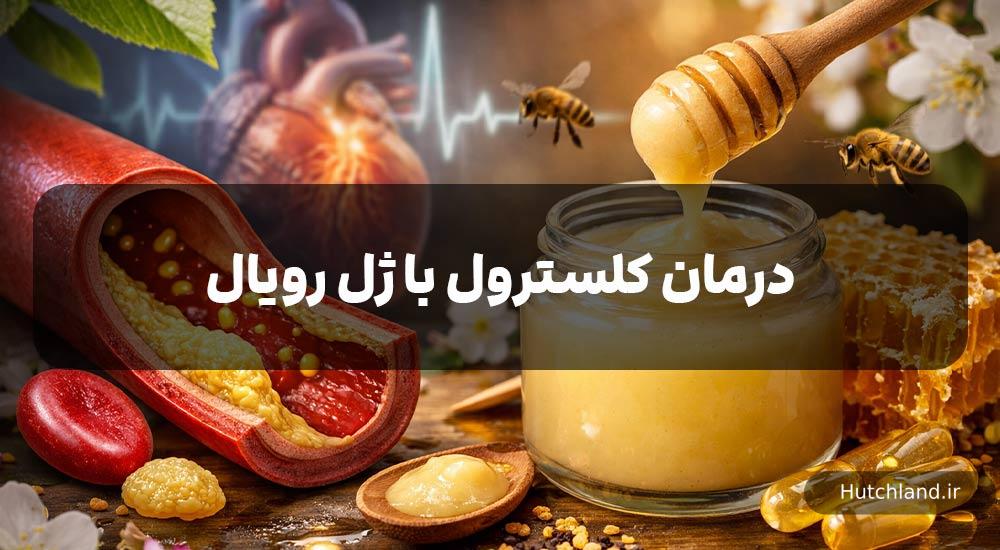 تاثیر ژل رویال بر کنترل کلسترول