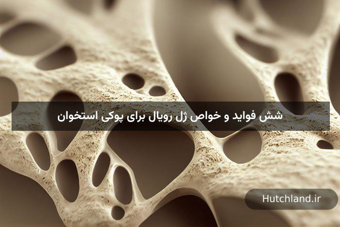 6 فواید و خواص ژل رویال برای پوکی استخوان