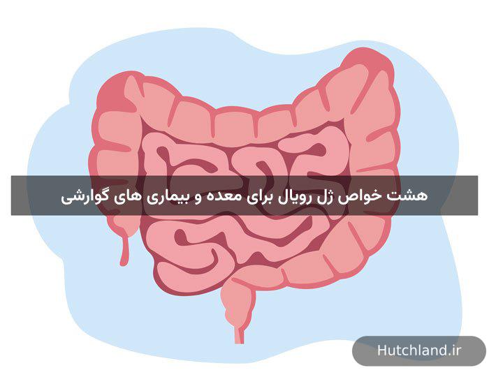 8 خواص ژل رویال برای معده و بیماری های گوارشی