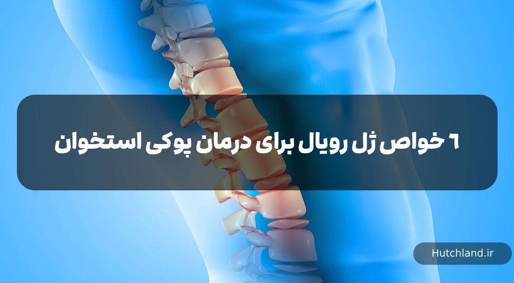 6 فواید و خواص ژل رویال برای پوکی استخوان