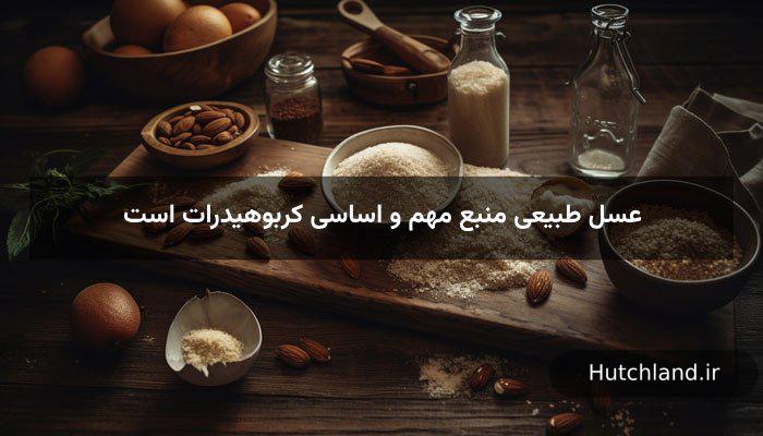 عسل طبیعی منبع مهم و اساسی کربوهیدرات 