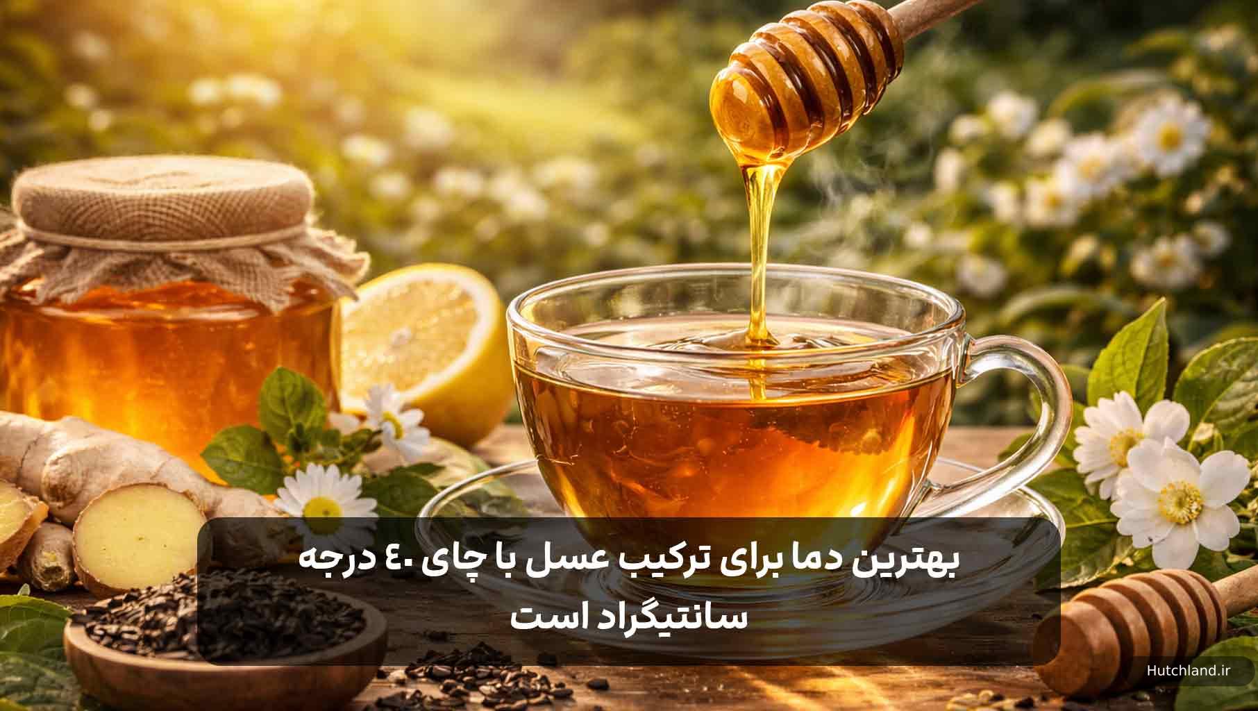 بهترین دما برای ترکیب عسل و چای