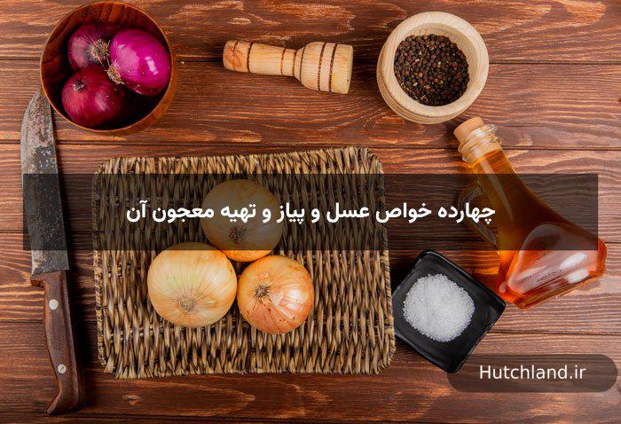 14 خواص عسل و پیاز و تهیه معجون آن