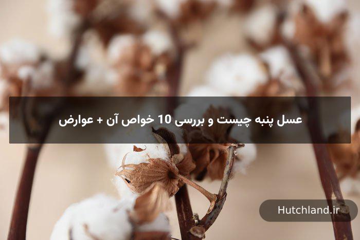 عسل پنبه چیست و بررسی 10 خواص