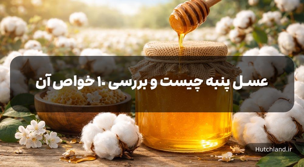 عسل پنبه چیست و بررسی 10 خواص