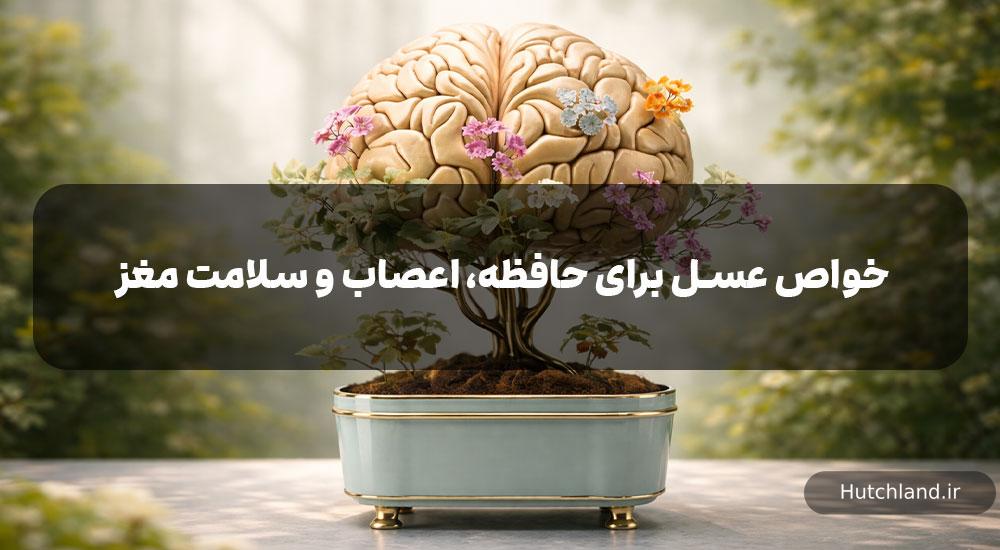 تحقیق علمی 5 ساله درباره تاثیر عسل برای تقویت حافظه