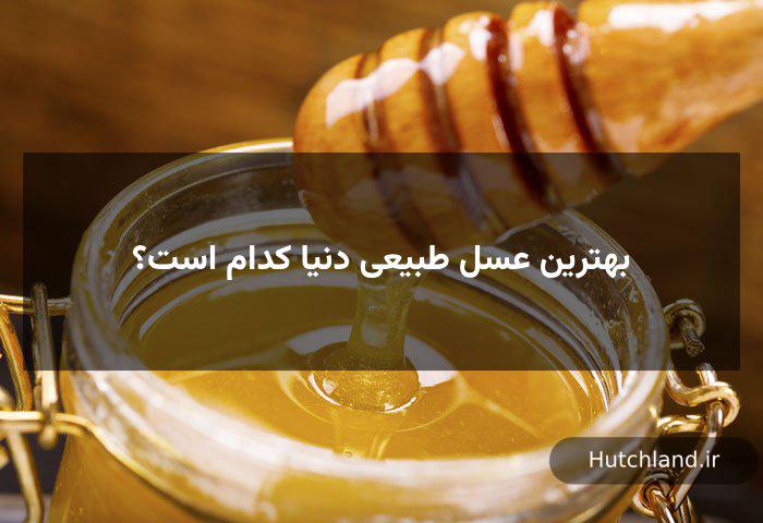 بهترین عسل طبیعی دنیا 
