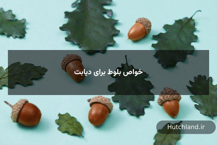 خواص بلوط برای دیابت