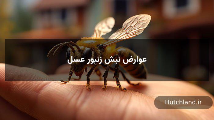 عوارض نیش زنبور عسل