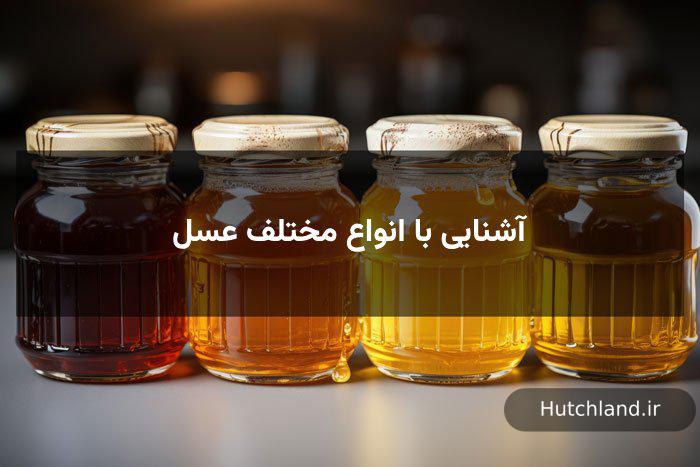 آشنایی با انواع مختلف عسل 