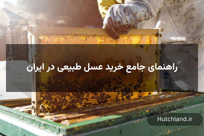راهنمای جامع خرید عسل طبیعی در ایران