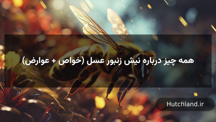 همه چیز درباره نیش زنبور عسل