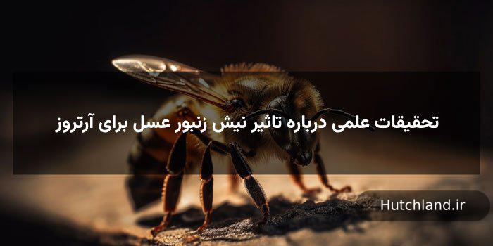تحقیقات علمی درباره تاثیر نیش زنبور عسل برای آرتروز