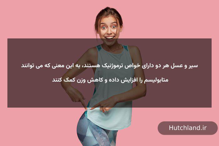 خواص سیر و عسل برای لاغری