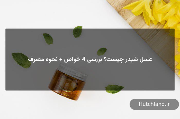 عسل شبدر چیست؟ بررسی 4 خواص + نحوه مصرف