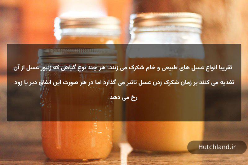 علت شکرک زدن عسل