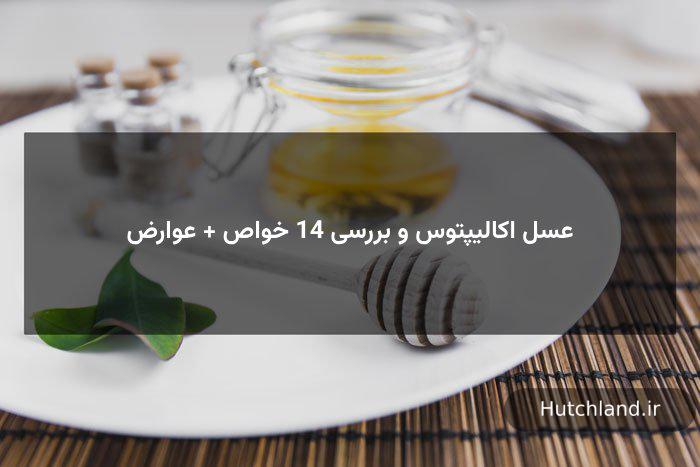 عسل اکالیپتوس و بررسی 14 خواص + عوارض