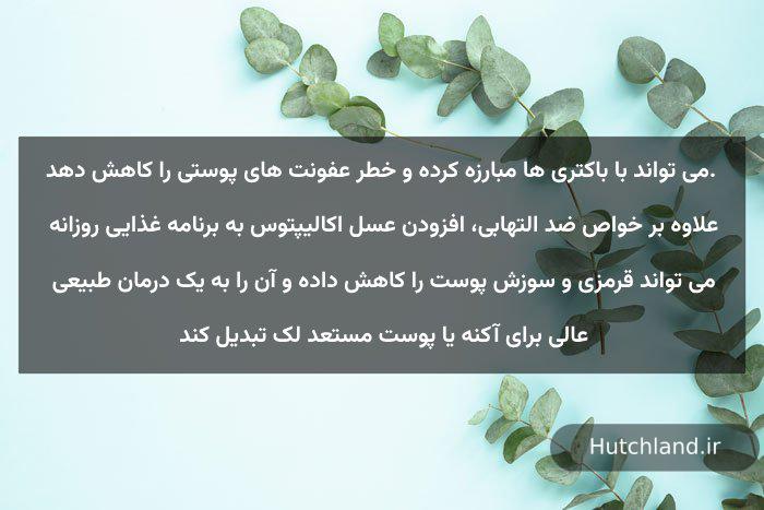 خواص عسل اکالیپتوس برای پوست