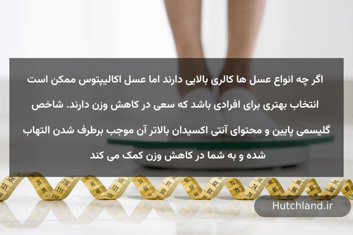 خواص عسل اکالیپتوس برای کاهش وزن