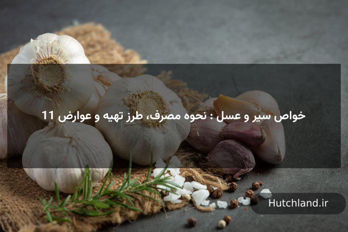 11 خواص سیر و عسل : نحوه مصرف، طرز تهیه و عوارض