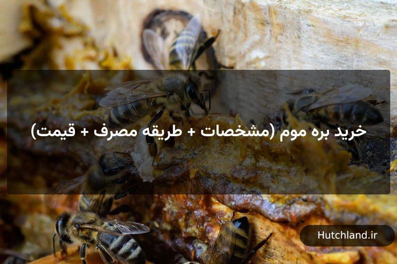 خرید بره موم