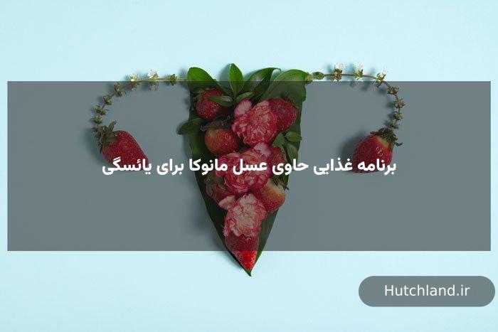 برنامه غذایی حاوی عسل مانوکا برای یائسگی