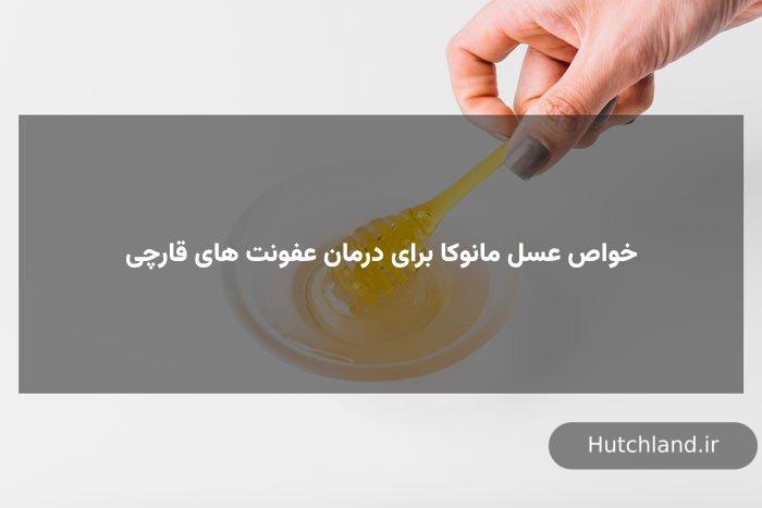 خواص عسل مانوکا برای درمان عفونت های قارچی