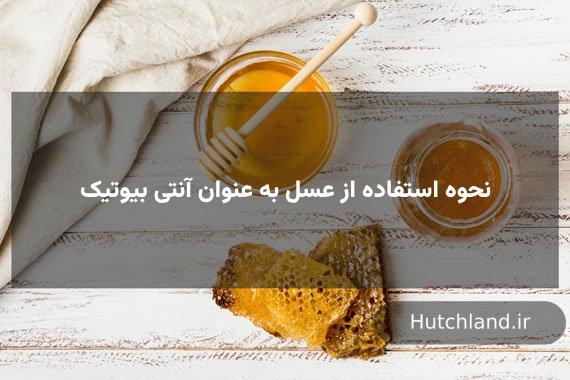 نحوه استفاده از عسل به عنوان آنتی بیوتیک