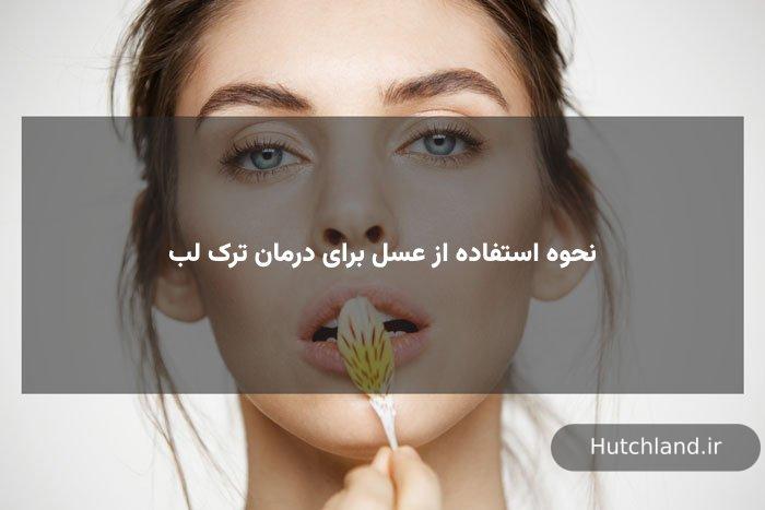 نحوه استفاده از عسل برای درمان ترک لب