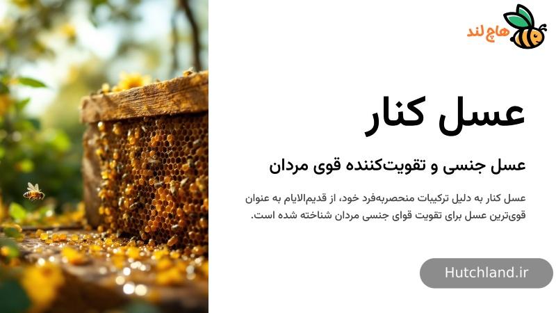 عسل کنار بهترین انتخاب برای مردان