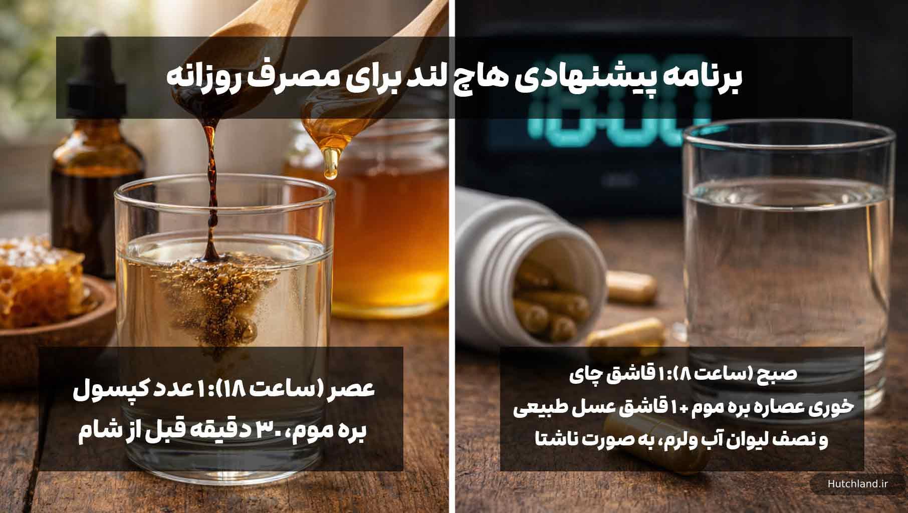 برنامه پیشنهادی هاچ لند برای مصرف روزانه