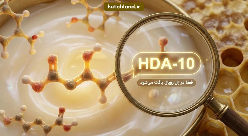 10-HDA موجود در ژل رویال