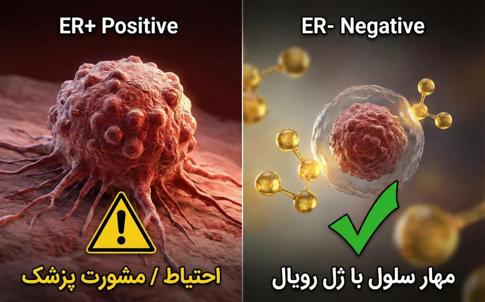 تفاوت تاثیر ژل رویال بر سرطان سینه استروژن مثبت و منفی