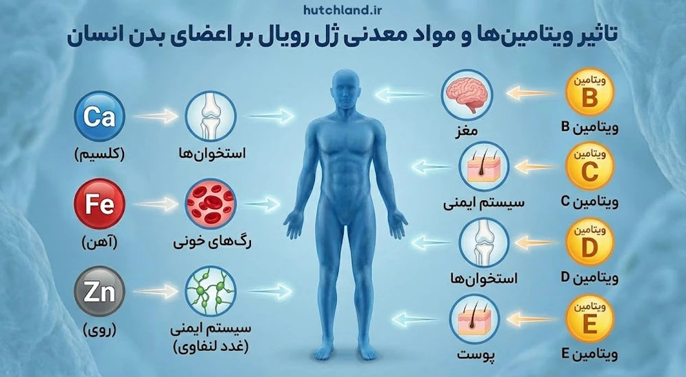 تاثیر ویتامین ها و مواد معدنی ژل رویال برای سلامتی