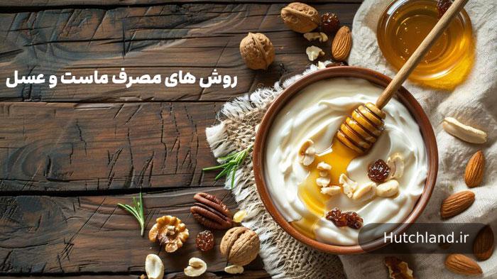 روش های مصرف ماست و عسل