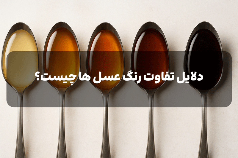 دلایل تفاوت رنگ عسل
