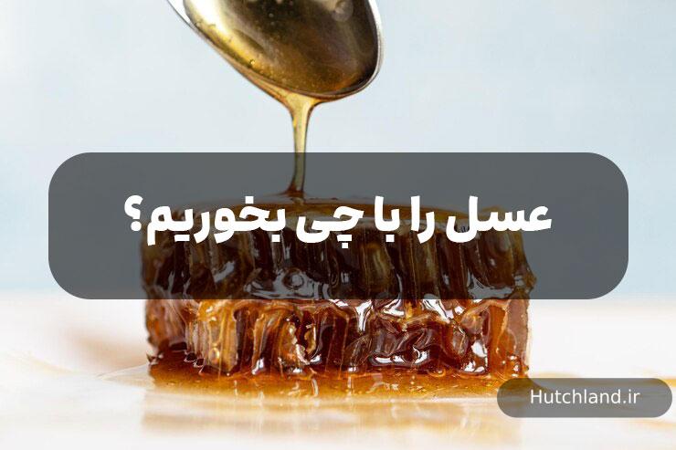 عسل را با چی بخوریم؟