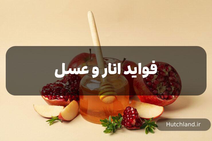 فواید ترکیب انار و عسل