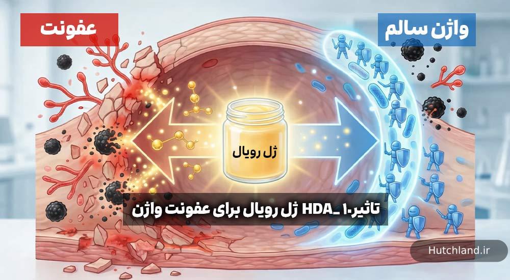 چرا ژل رویال بهتر از آنتی بیوتیک ها است