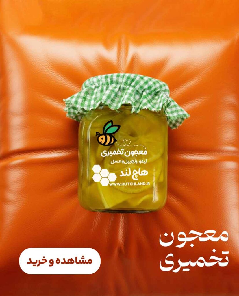 معجون تخمیری لیمو، زنجیل و عسل