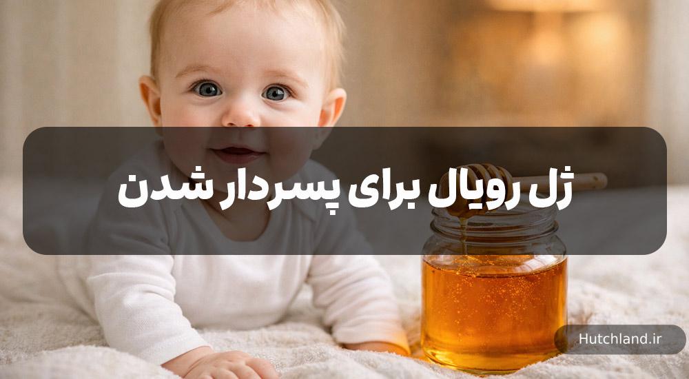 ژل رویال برای پسر دار شدن