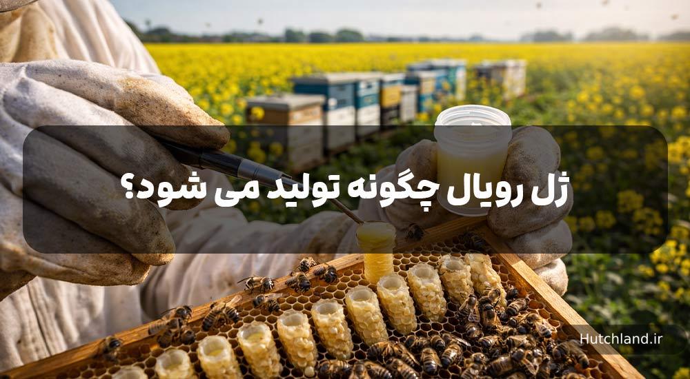 ژل رویال چگونه تولید میشود؟