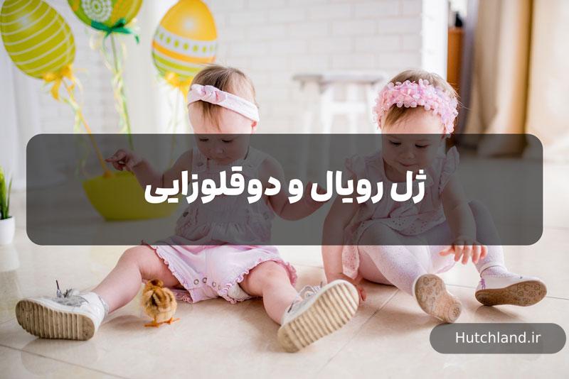ژل رویال و دوقلوزایی