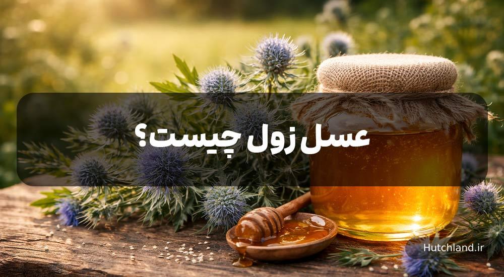 خواص عسل زول