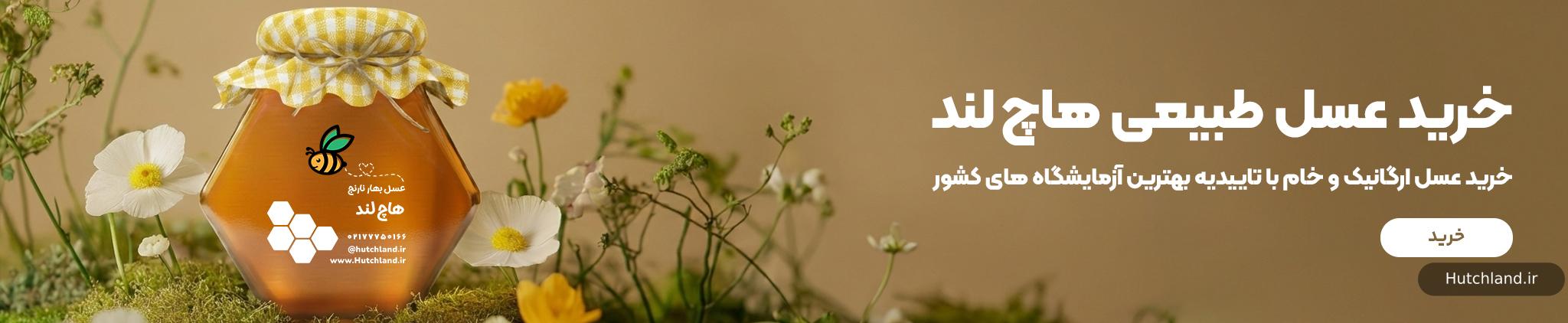 قیمت عسل طبیعی هاچ لند