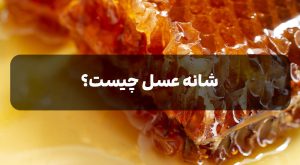 شانه عسل چیست؟